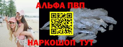 дмт Кингисепп
